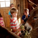 kinderhotel-almhof_2