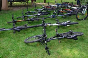 parc-aventura-comana-01