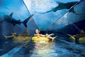 aquaventure