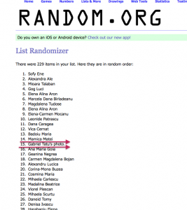 Câștigători concurs