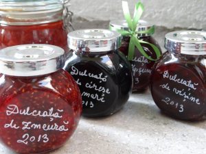 Bine aţi venit în Fabrica de Dulceţuri!