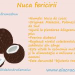 Toata fericirea intr-o nuca: nuca de cocos