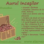 "Superalimentul" de aur: Quinoa