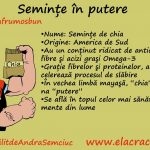 Semințele care ne dau putere: Chia