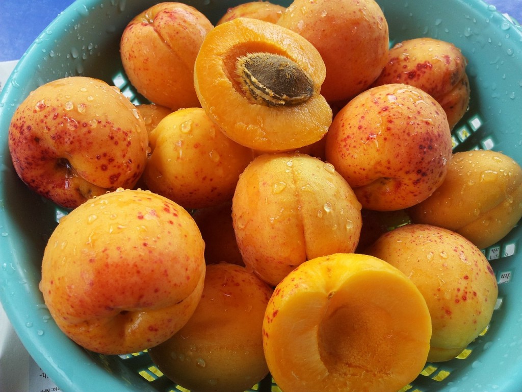 apricots-168502_1280