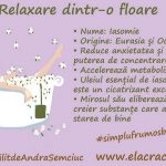 Floarea care pune anxietatea pe fugă: Iasomia