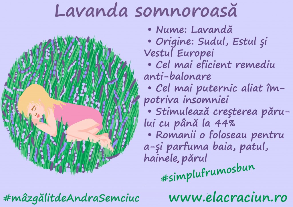 Cel mai bun remediu anti-stres are culoarea mov: lavanda
