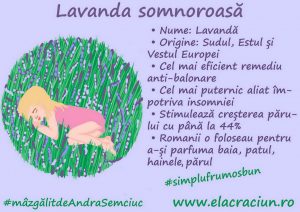 Cel mai bun remediu anti-stres are culoarea mov: lavanda