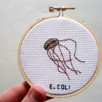 Cauze şi simptome ale apariţiei bacteriei E-coli: cum prevenim şi când să ne alarmăm?