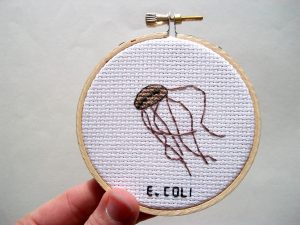 Cauze şi simptome ale apariţiei bacteriei E-coli: cum prevenim şi când să ne alarmăm?