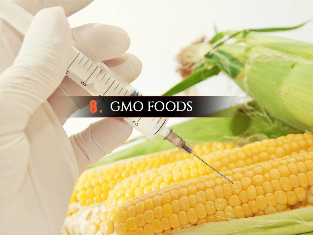 8-1-1024x768-3019197