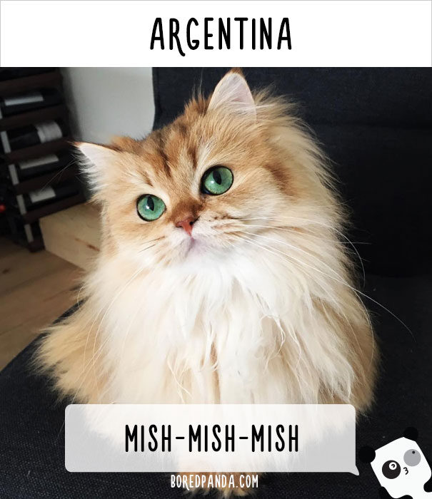 cat-calling-in-different-languages-argentina-57a72ec61e70f__605