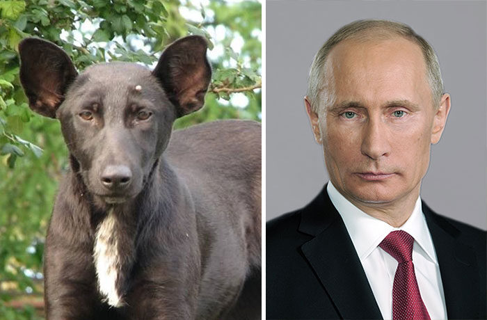 1-putin-2675985
