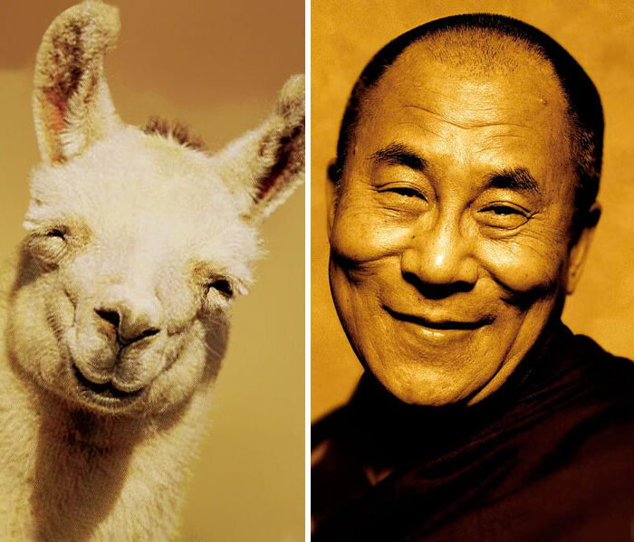 8-dalai-lama-5975357