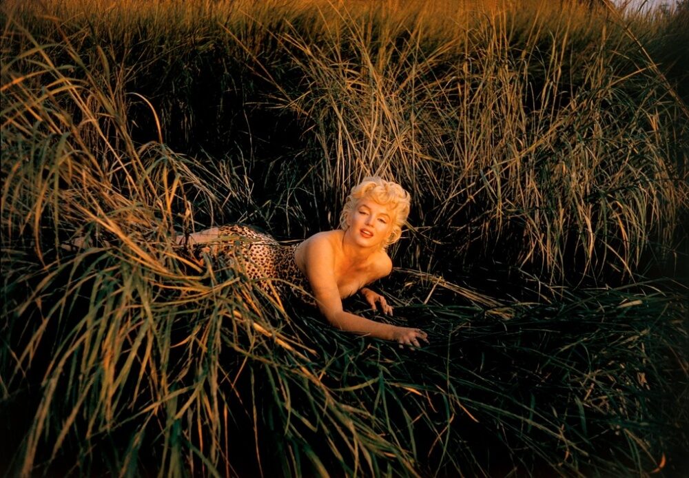 marilyn-5-3732227