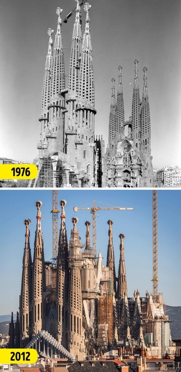 6-39-584x1200-4685058