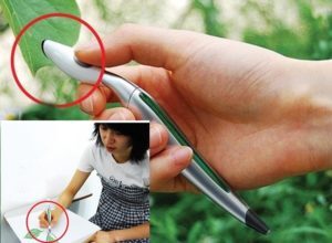 3-31-300x220-6836299