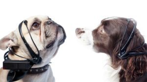 4-30-300x169-6629191