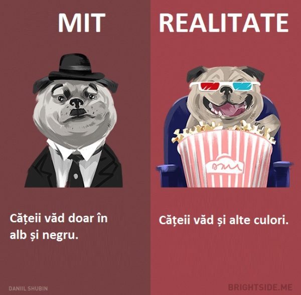 1-53-600x588-5632242