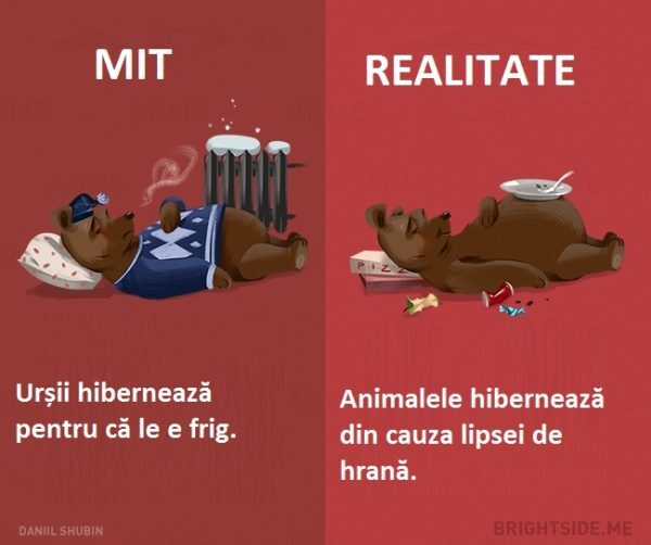 12-14-600x502-6356261