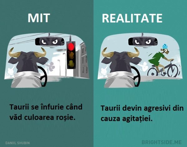 2-43-600x471-5309172