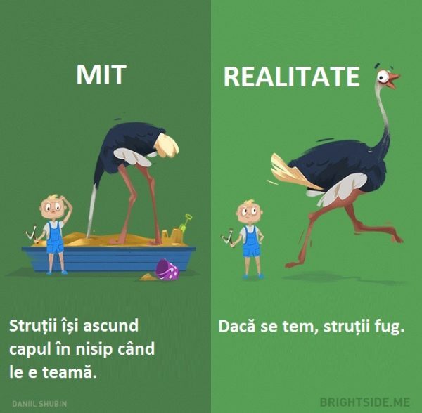 3-42-600x588-3610073