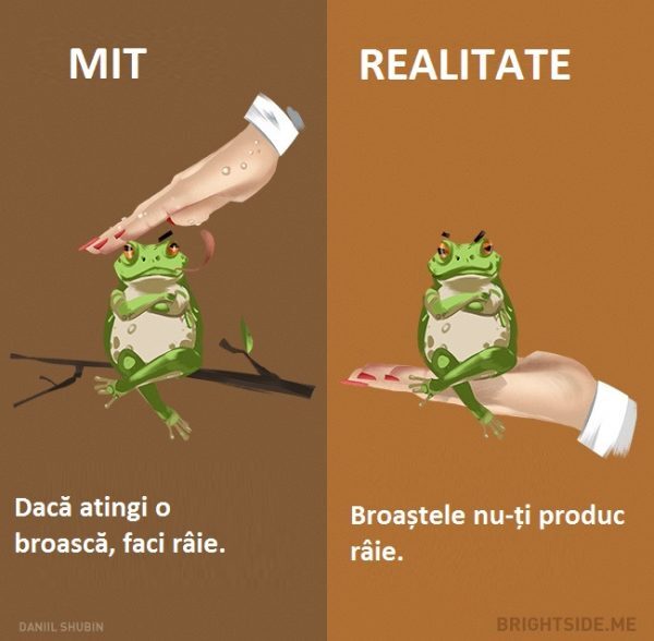 4-44-600x588-7139398