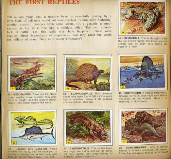 10-2-600x556-2793681