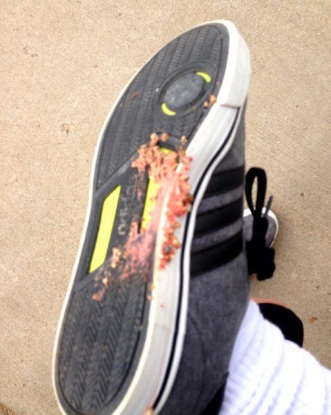 10-13-479x600-4295055