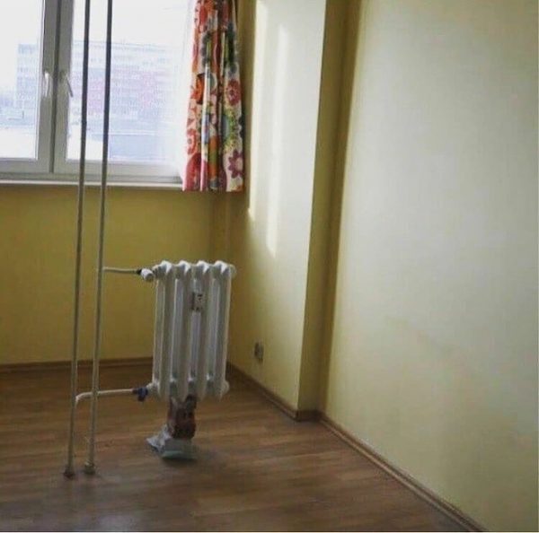 15-1-600x594-2436441