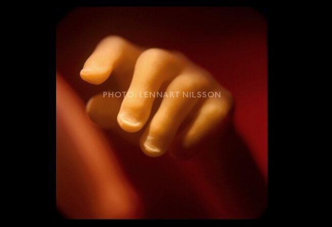 18-cum-se-naste-un-copil-2572820