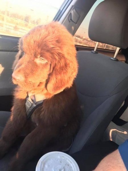 10-1-450x600-1700204