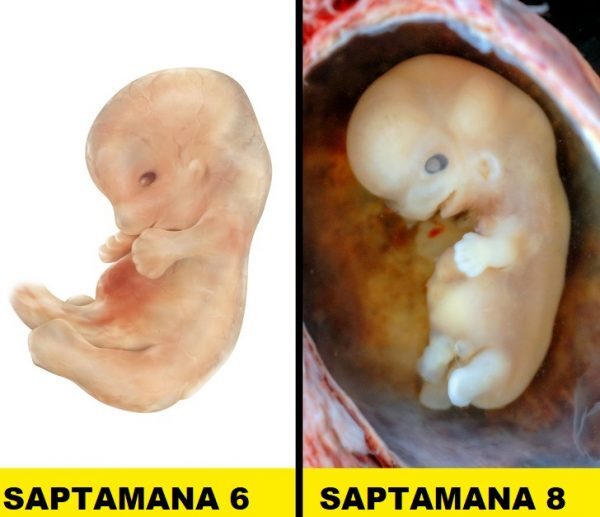 2-16-600x517-4577902