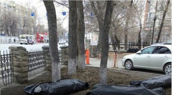 11-8-600x331-5942971