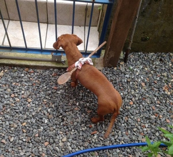 6-14-600x547-8256247