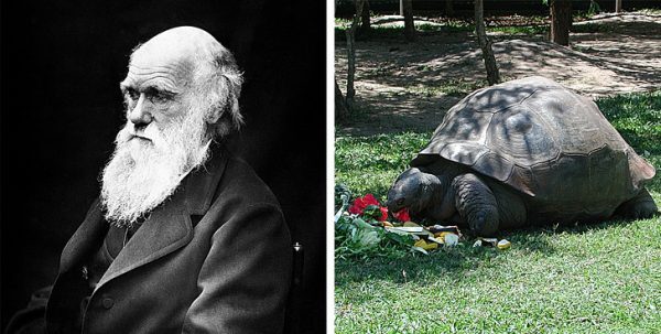 2-19-600x303-9617529