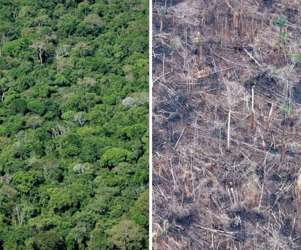 2-21-600x499-6172146