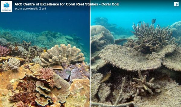 3-18-600x355-7886525