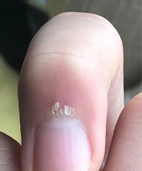 5-14-499x600-9222461