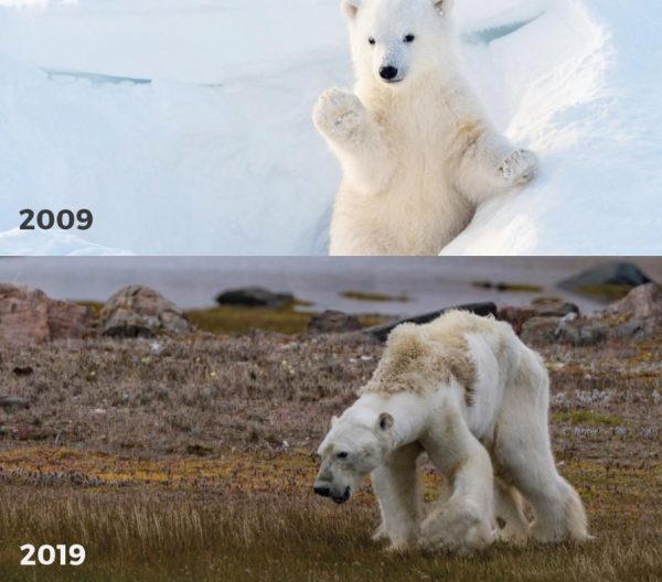 5-15-600x528-6039603