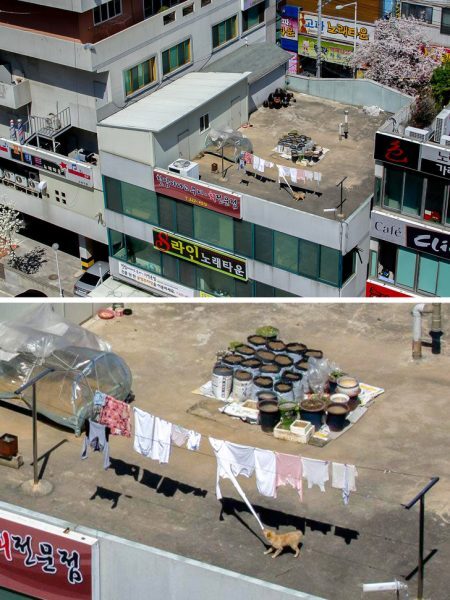 4-17-450x600-5204512