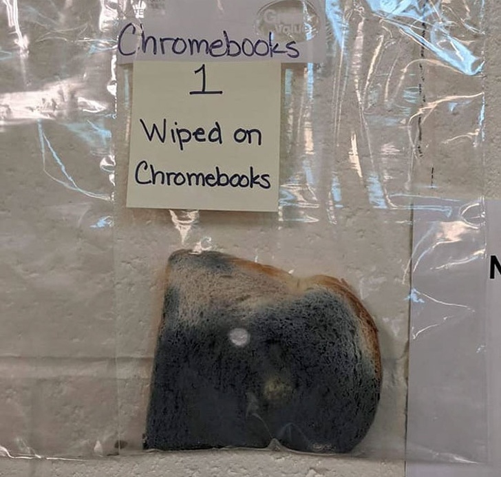 Experimentul care a uimit lumea