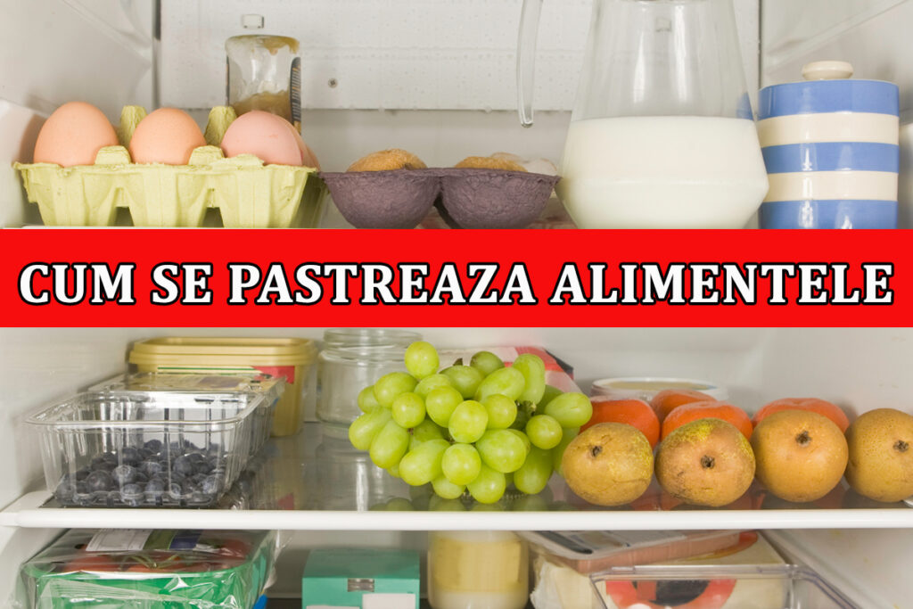 Cum depozitezi CORECT alimententele ca să ȚINĂ cât mai mult