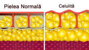 6 modalități prin care poți să folosești CAFEAUA fără să o bei.6 modalități prin care poți să folosești CAFEAUA fără să o bei.