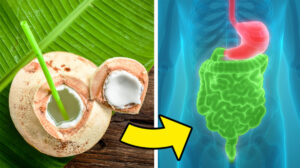 Apa de nucă de cocos Vs. laptele de nucă de cocos. Diferențe și beneficii