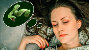 Ce inseamna cand visezi serpi? Sarpe in vis - interpretari