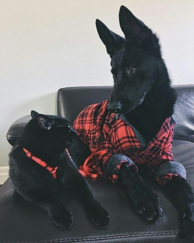 11-25-640x800-1174678