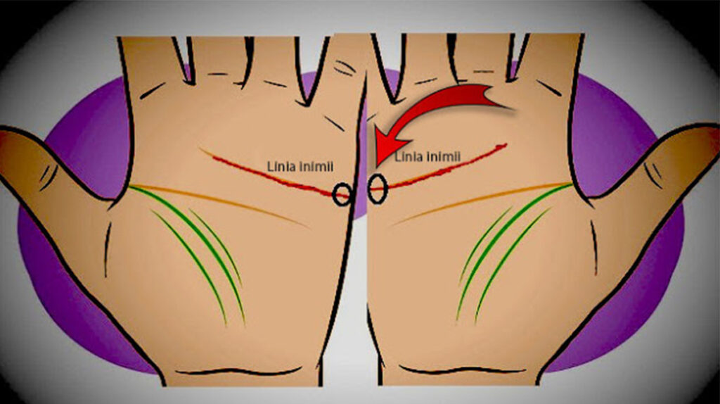 Ține palmele astfel și vezi ce reprezintă cele două linii care se unesc!