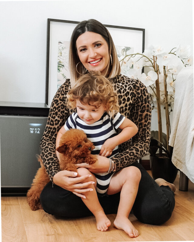 Cum să te bucuri de un aer mai curat în casa ta