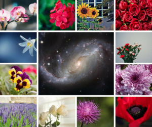 Horoscop weekend 24-25 aprilie. Ce aduce duminica floriilor